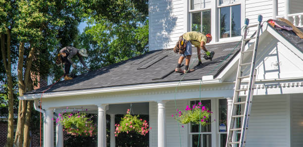 Best Roof Moss and Algae Removal  in New Burlington, OH